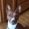paytonMarcy - @paytonmarcy - TikTok