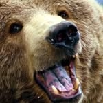 Big_Baer - @marc_peace_42069 - Instagram