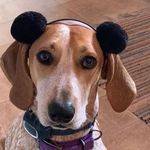 Marc Peck - @marcpeck53 - Instagram