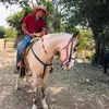 Marcelo pedraza - @marcelopedraza668 - TikTok