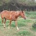 Marcos Pelini Pelini - Facebook
