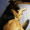 Marc Peltier968 - @marcpeltier968 - TikTok