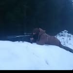 Marc Pender - @marc_pender - Instagram