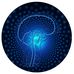 Marc Pera - Facebook