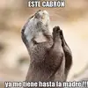 marc perez - @marc.perez202 - TikTok