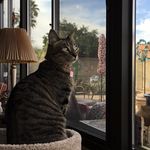 Marc Perlman - @brooklyndodgers88 - Instagram