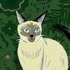 Marc Perron - @marc.perron - TikTok