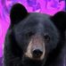 Marc Person - Facebook
