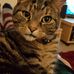 Marc Peters - Facebook