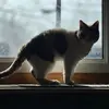 marcpetrie5 - @marcpetrie5809424 - TikTok