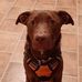 Marc Petty - Facebook