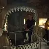 marcopetzold75 - @marcopetzold75 - TikTok