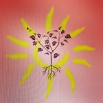 Marc Pfister - @_nintai_heiko_ - Instagram