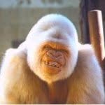 Marc Philips - @filleken2 - Instagram