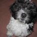 Marc Phillips - Facebook