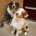 Marc Pickman - Facebook
