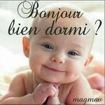Marc pigeon - @marc9.7 - Instagram
