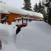 Marc Pigeon - @marc.pigeon - TikTok