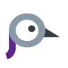 marcapigeon - @marcapigeon - TikTok
