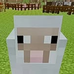 Marc Pike - @minec_raftgrassblock - Instagram
