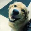 Marc Pilon - @user838089095 - TikTok