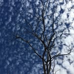 Marc Pilon - @markpilon80 - Instagram