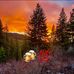 Marc Place - Facebook
