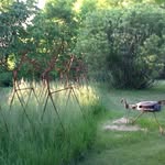 Marcplamondon - @alloquebec1982 - Instagram