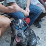 Marc Plessis - Facebook