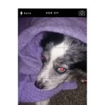 Mark Plotkin - Facebook