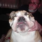 Marc Poelmans - @marc.poelmans.3194 - Instagram