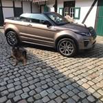 Marc Poelmans - @marcpoelmans1234 - Instagram