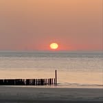 Marc poels - @marc_poels - Instagram