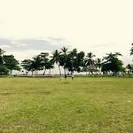 Marc Poisson - @bigfishstick - Instagram