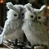 Marc Poitras - @marc.poitras - TikTok