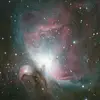 marcpolansky - @marcpolansky - TikTok
