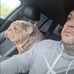 Mark Bruce - Facebook