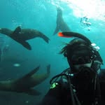 Marc Christian Pretorius - @pretorius1827 - Instagram