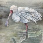 Marc Purcell - @marcpurcellart - Instagram