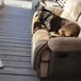 Marc Purdy - Facebook