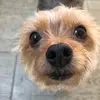 Marc-olivier Quesnel - @tobby12344321 - TikTok