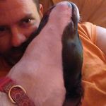 Marc Quesnel - @quesnelmarc - Instagram