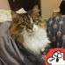 Marc Quesnel - Facebook