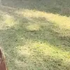 marce.quevedo - @marce.quevedo - TikTok
