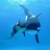 marcratner736 - @marcratner736 - TikTok