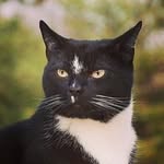 Marc Reder - @redermarc - Instagram