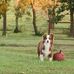 Marc Reed - Facebook