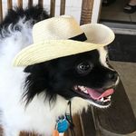 Marc Reilly - @marckymarc - Instagram