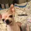 Marc reilly - @reillymarc13 - TikTok
