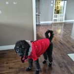 Marc Rémillard - @marc.remillard.94 - Instagram